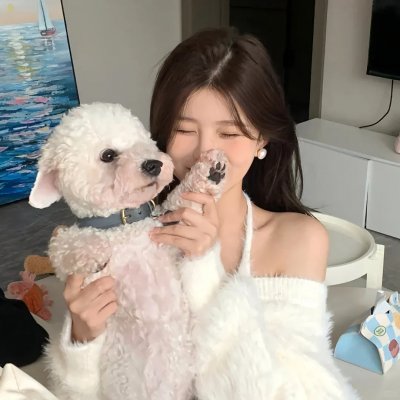 房子与狗